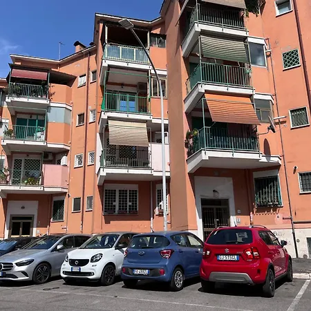 Dasy - San Paolo *